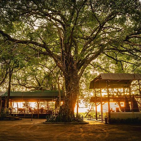 Askiesbos - Samochima Bush Camp Shakawe Buitenkant foto