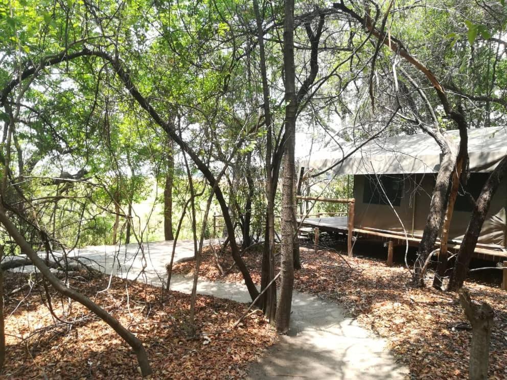 Askiesbos - Samochima Bush Camp Shakawe Buitenkant foto