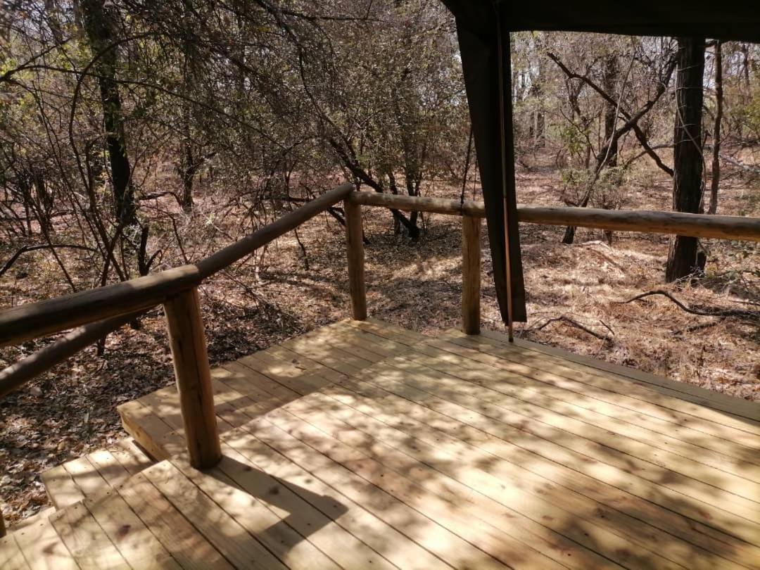 Askiesbos - Samochima Bush Camp Shakawe Buitenkant foto