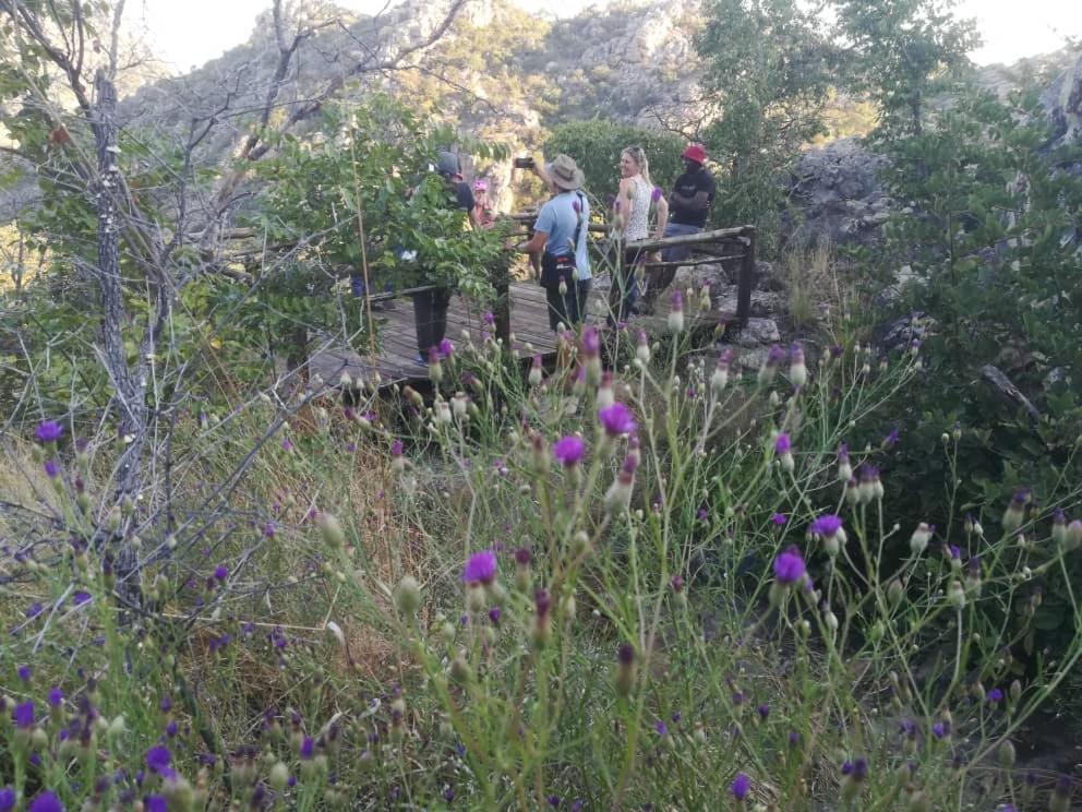 Askiesbos - Samochima Bush Camp Shakawe Buitenkant foto
