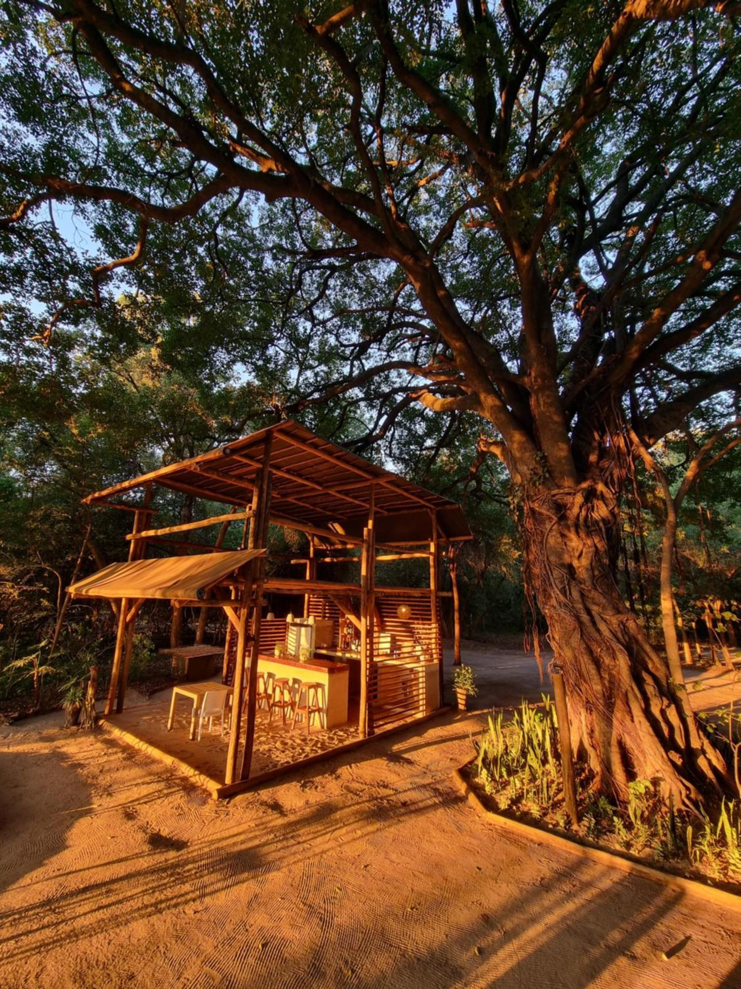 Askiesbos - Samochima Bush Camp Shakawe Buitenkant foto