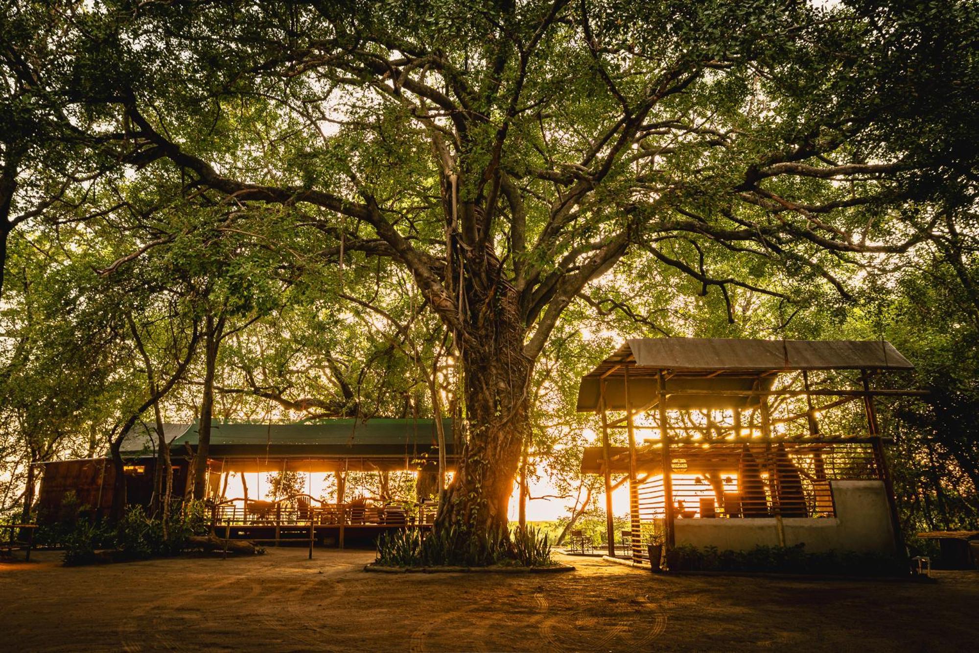 Askiesbos - Samochima Bush Camp Shakawe Buitenkant foto